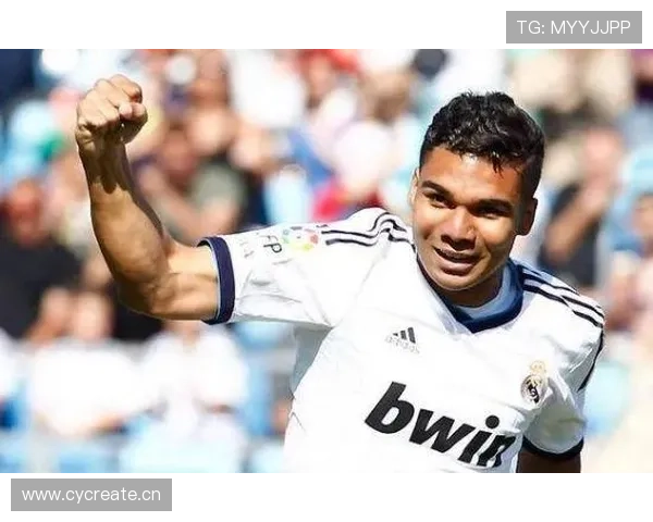 坎特扫荡能力解析