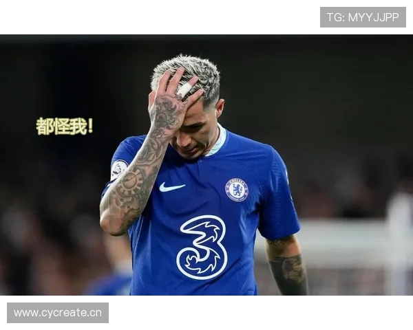 恩佐费尔南德斯上限在哪：数据、战术与比赛角色的具体体现