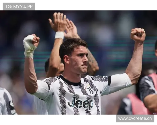 弗拉霍维奇巅峰期成长：从潜力中锋到亿元先生解析